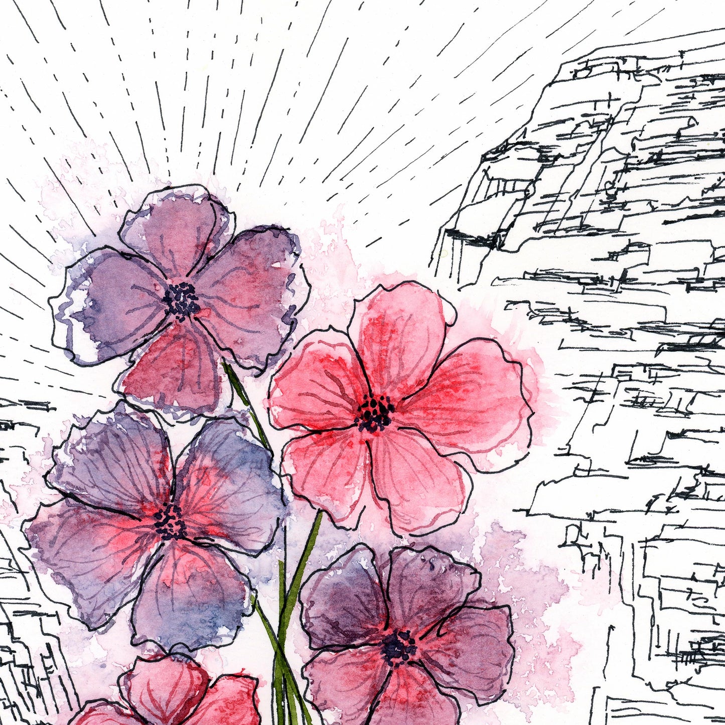 Pink Cliffs - Originals