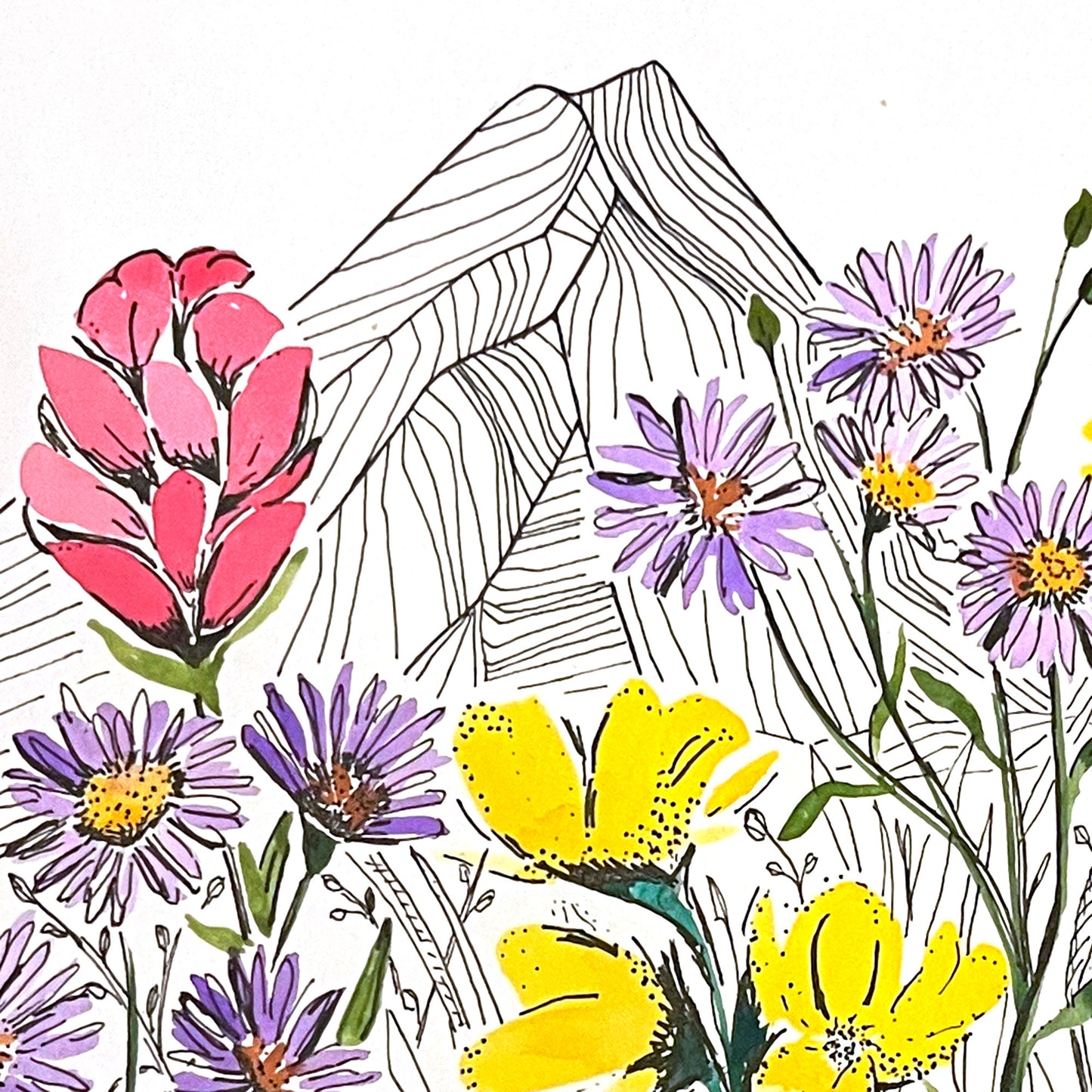 Summer in the Wildflowers Print